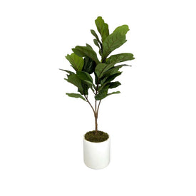 21" Artificial Fiddle Leaf Tree in White Cylindrical Pot