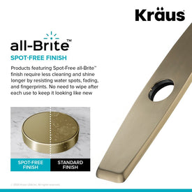 Deck Plate for Kitchen Faucet