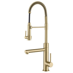 KPF-1603BG Kitchen/Kitchen Faucets/Pull Down Spray Faucets