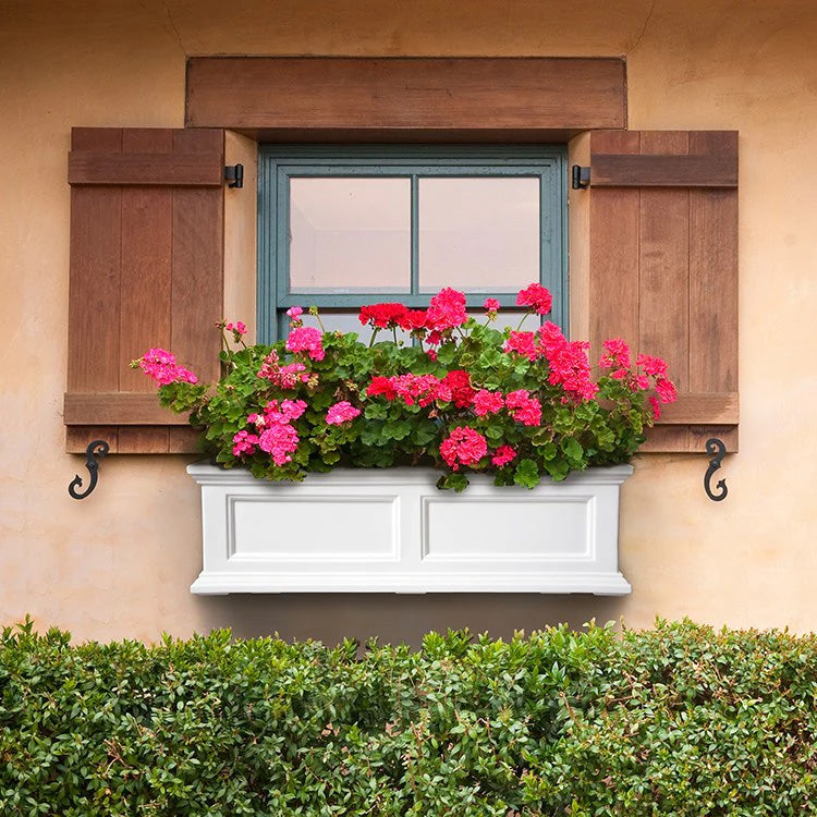20% off select Outdoor & Garden