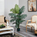 Botanicals