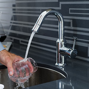 Bar & Prep Kitchen Faucets