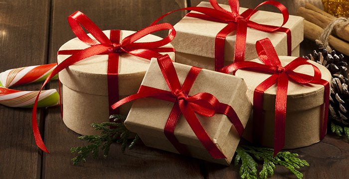 Top 100 Holiday Gifts 2025