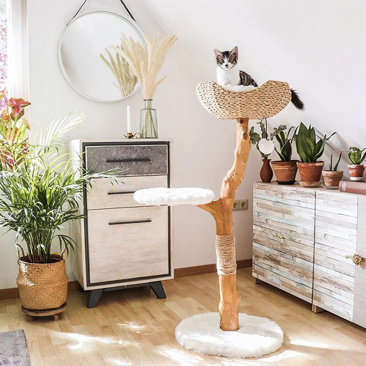 Pet Beds