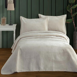 Quilts & Coverlets