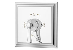 Tub & Shower Diverters & Volume Controls