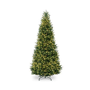 Christmas Trees 8 Feet