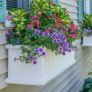 Window Boxes & Accessories