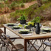 NAP275-VRF Dining & Entertaining/Dinnerware/Dinner Plates