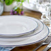 ATP281-BLU Dining & Entertaining/Dinnerware/Dinner Plates