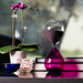 D841P Decor/Decorative Accents/Sculptures Figurines & Finials