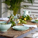 IM501-BLU Dining & Entertaining/Dinnerware/Dinner Plates