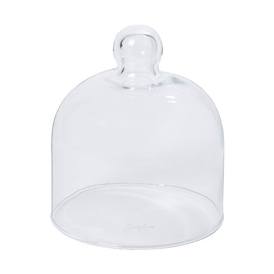 Product Image: V10225-CLR Storage & Organization/Kitchen Storage/Food Storage Containers