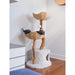ANI-106-WHT Decor/Pet Accessories/Pet Beds
