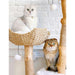 ANI-106-WHT Decor/Pet Accessories/Pet Beds