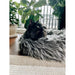ANI-CB115-GRY Decor/Pet Accessories/Pet Beds