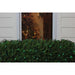 32604350 Holiday/Christmas/Christmas Lights