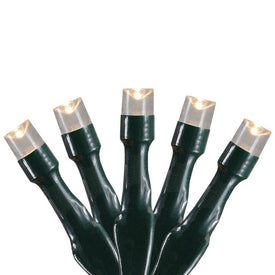 20-Count Warm White Battery-Operated LED Wide-Angle Christmas Light Set with 9.5' Green Wire