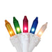 26184601 Holiday/Christmas/Christmas Lights