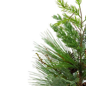 34316649 Holiday/Christmas/Christmas Trees