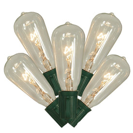10-Count Clear and Green Transparent ST40 Edison-Style Christmas Light Set with 9' Green Wire