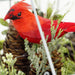 32275782 Holiday/Christmas/Christmas Indoor Decor