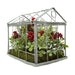 32275782 Holiday/Christmas/Christmas Indoor Decor