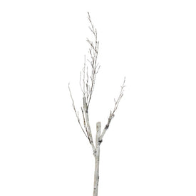 46.5" White and Brown Birch Artificial Christmas Branch Twig
