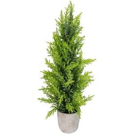 17" Unlit Upswept Frosted Cedar Artificial Christmas Tree