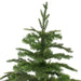 34305175 Holiday/Christmas/Christmas Outdoor Decor