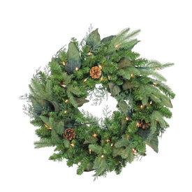 24" Pre-Lit Mixed Winter Pine Artificial Christmas Wreath - Clear Lights