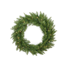 24" Pre-Lit Essex Pine Artificial Christmas Wreath - Clear Lights