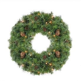 24" Pre-Lit Dakota Pine Artificial Christmas Wreath - Clear Lights