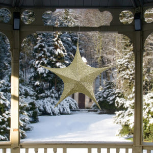 34314419-GOLD Holiday/Christmas/Christmas Outdoor Decor