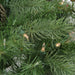 31450697-GREEN Holiday/Christmas/Christmas Wreaths & Garlands & Swags