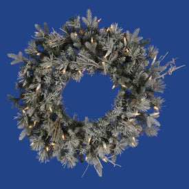 24" Pre-Lit Frosted Whistler Fir Artificial Christmas Wreath - Clear Dura-Lit Lights
