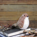 32636750-BROWN Holiday/Christmas/Christmas Indoor Decor