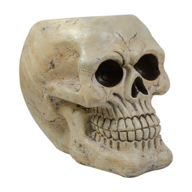 11" Ivory and Black Halloween Skull Tabletop Decoration