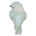 34314935-GREEN Holiday/Christmas/Christmas Indoor Decor