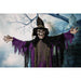 HHWITCH-6FL Holiday/Halloween/Halloween Indoor Decor