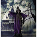 HHWITCH-6FL Holiday/Halloween/Halloween Indoor Decor