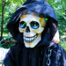 HHRPR-12FLS Holiday/Halloween/Halloween Indoor Decor