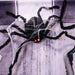 HHSPD-12FLSA Holiday/Halloween/Halloween Indoor Decor