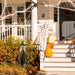 HHWTC-2STLS Holiday/Halloween/Halloween Indoor Decor