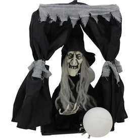 19" Hanging Animated Witch in Box
