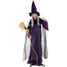 HHWITCH-5FLSA Holiday/Halloween/Halloween Indoor Decor