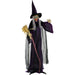HHWITCH-5FLSA Holiday/Halloween/Halloween Indoor Decor