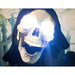 HHRPR-3FLS Holiday/Halloween/Halloween Indoor Decor