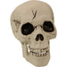 HHGBSKEL-1GB Holiday/Halloween/Halloween Indoor Decor
