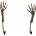 HHGBSKEL-1GB Holiday/Halloween/Halloween Indoor Decor